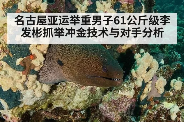 名古屋亚运举重男子61公斤级李发彬抓举冲金技术与对手分析